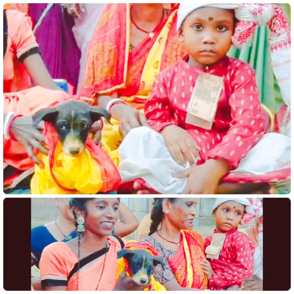 Jamshedpur Dog Marriage Ritual | बच्चों की कुत्ते से शादी की परंपरा का खुलासा कुत्ते से विवाह